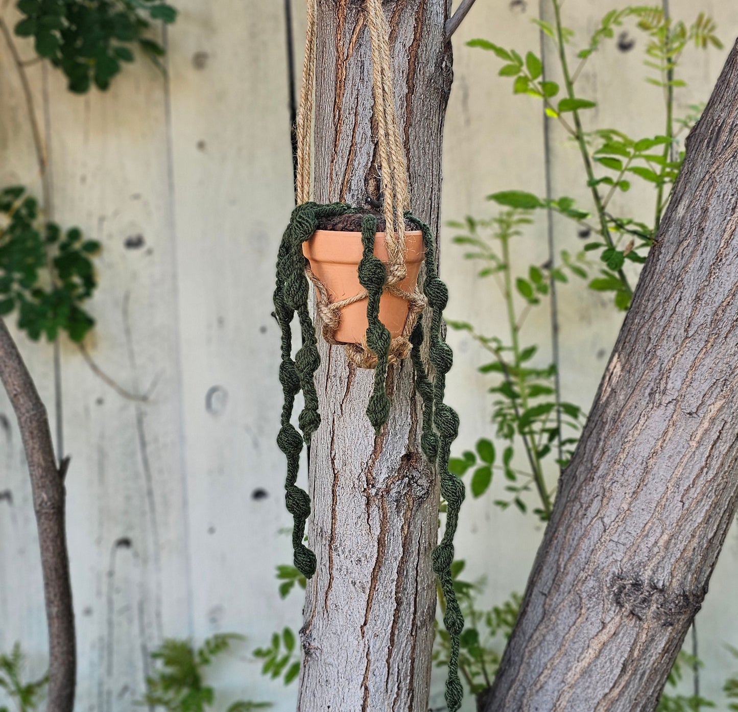 Jardineras colgantes