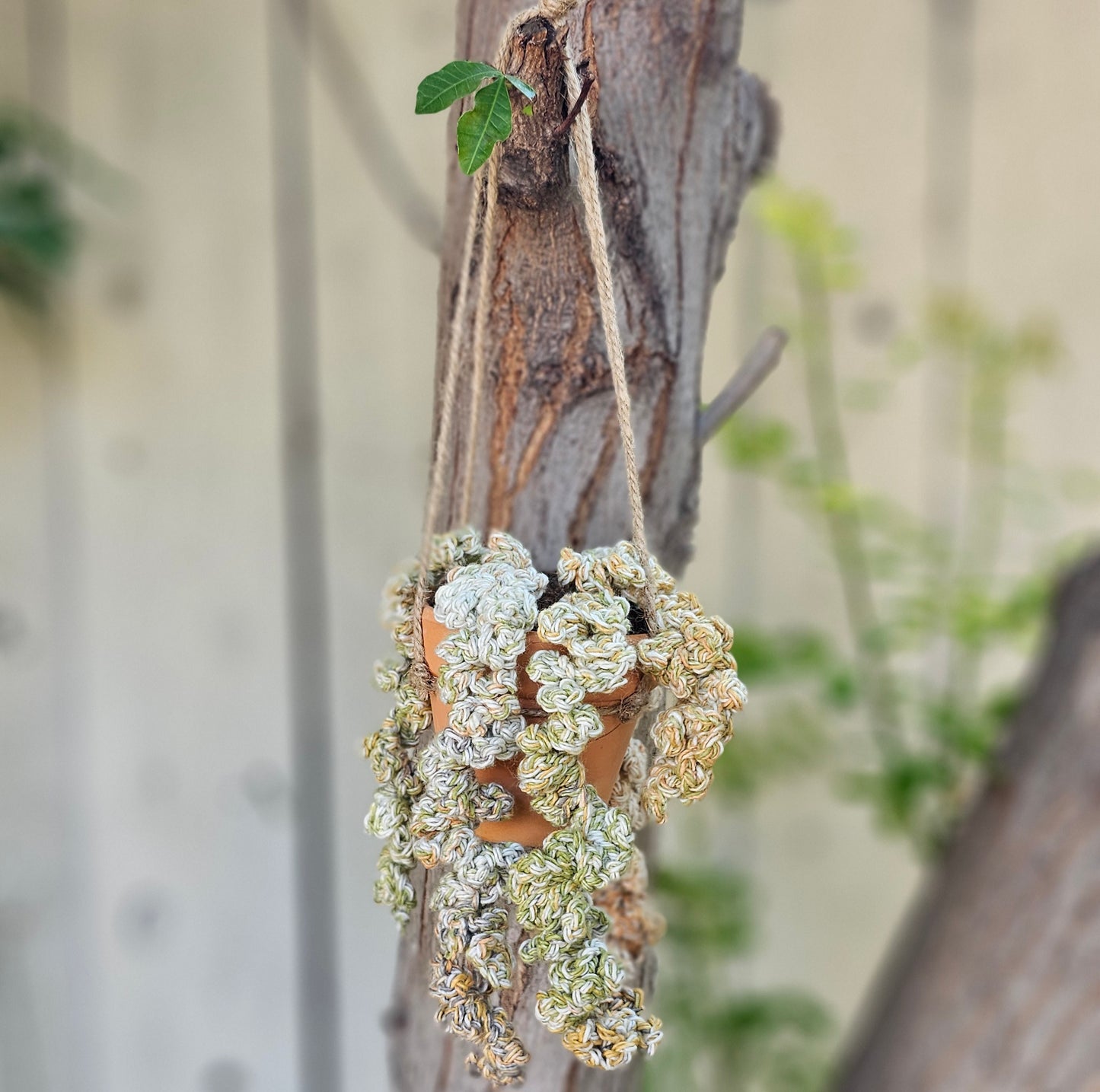 Jardineras colgantes