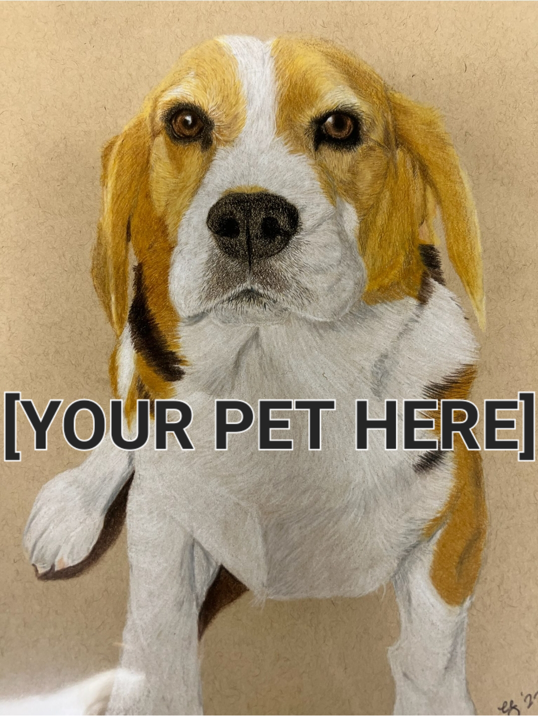 Hand Drawn Pet Portrait