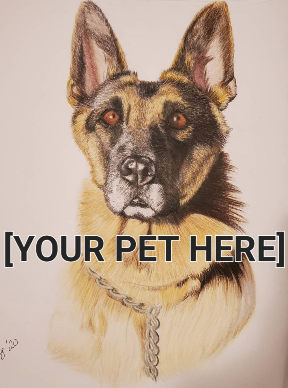 Hand Drawn Pet Portrait