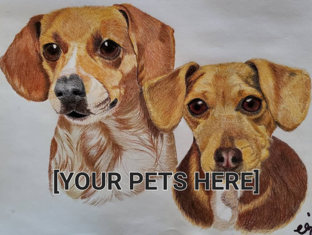Hand Drawn Pet Portrait