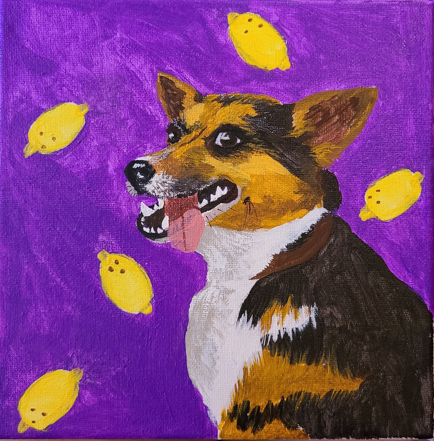 Custom Pet Canvas
