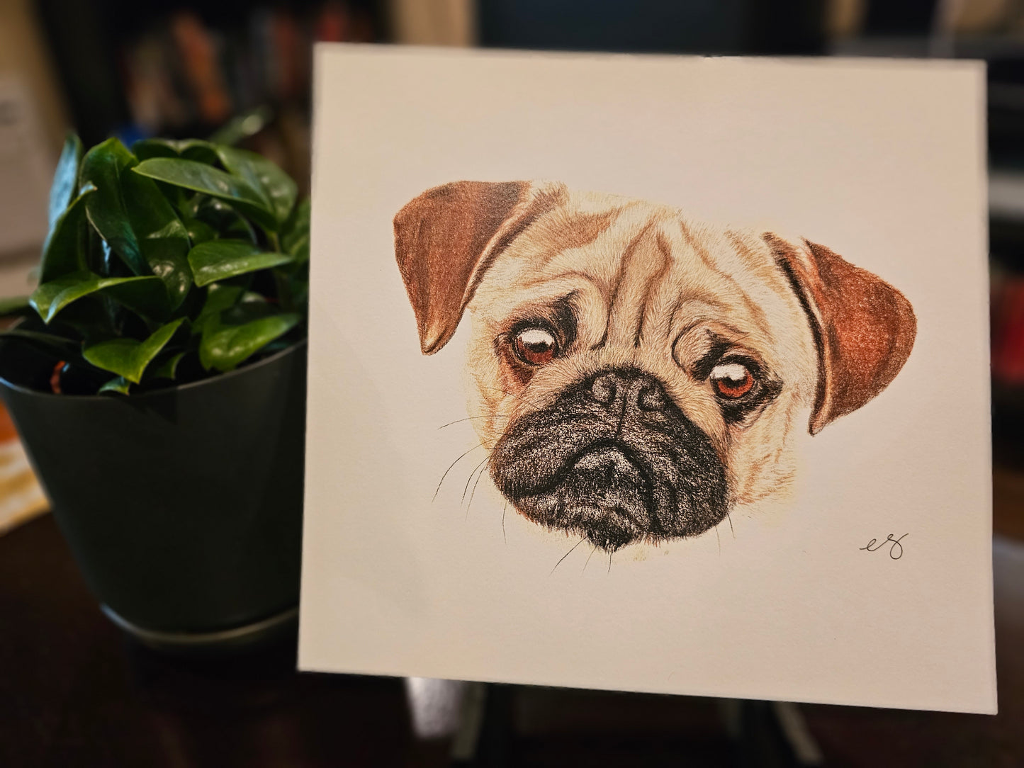 Hand Drawn Prints