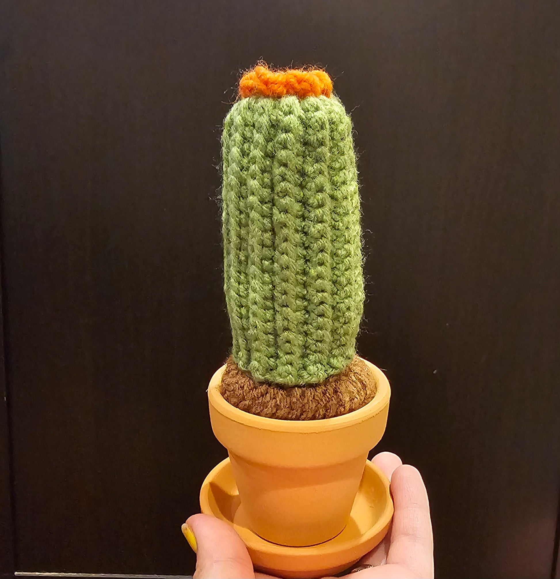 Crochet neutral San Pedro cactus with an orange flower growing out of the top. The cactus is growing out of crochet dirt made out of brown yarn. The cactus sits in a small terracotta clay pot and saucer.