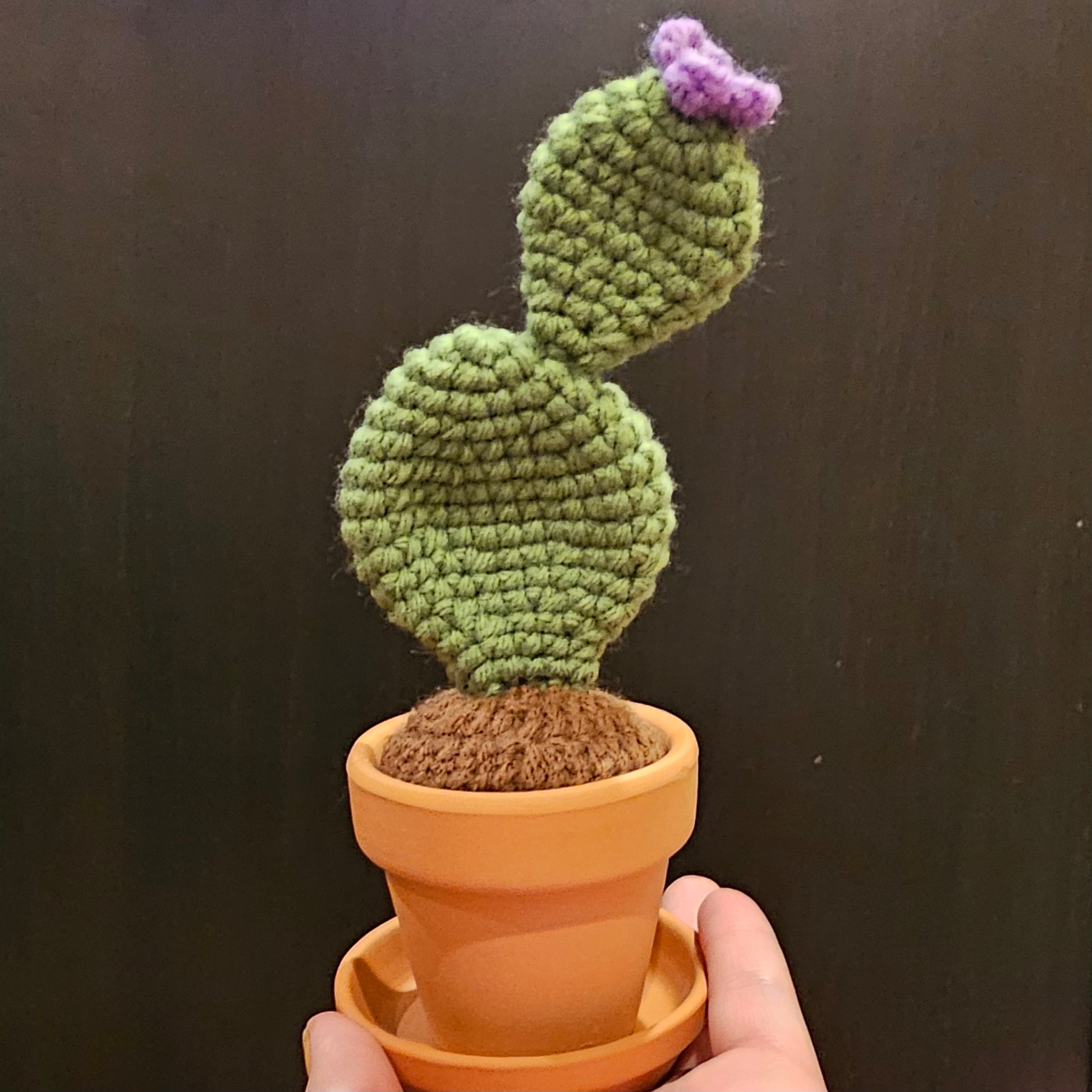 Crochet neutral green prickly pear cactus with a purple flower growing out of the top. The cactus is growing out of crochet dirt made out of brown yarn. The cactus sits in a small terracotta clay pot and saucer.
