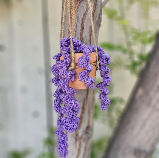 Hanging planters