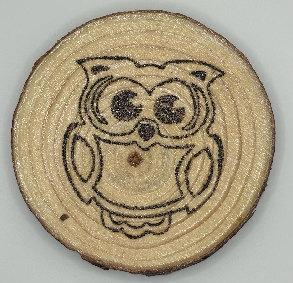 Wooden disk with a burnt on design. The design is a cute, big eyed owl.