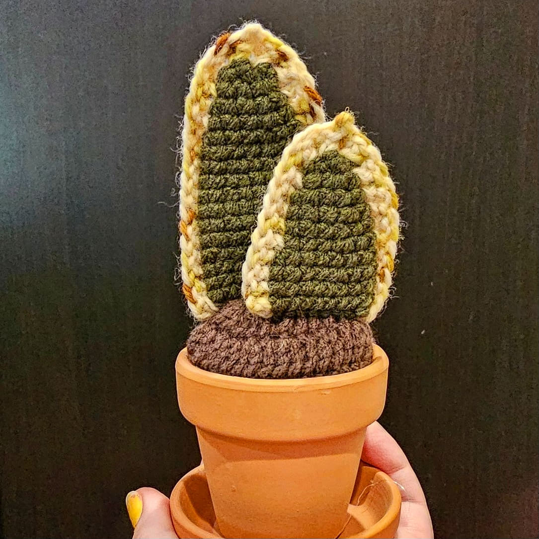 Crochet Snake plant with two leaves growing out of crochet dirt made out of brown yarn. The plants are spear shaped and are made of a neutral green yarn with the a lighter speckled edge. The plant sits in a small terracotta clay pot and saucer.